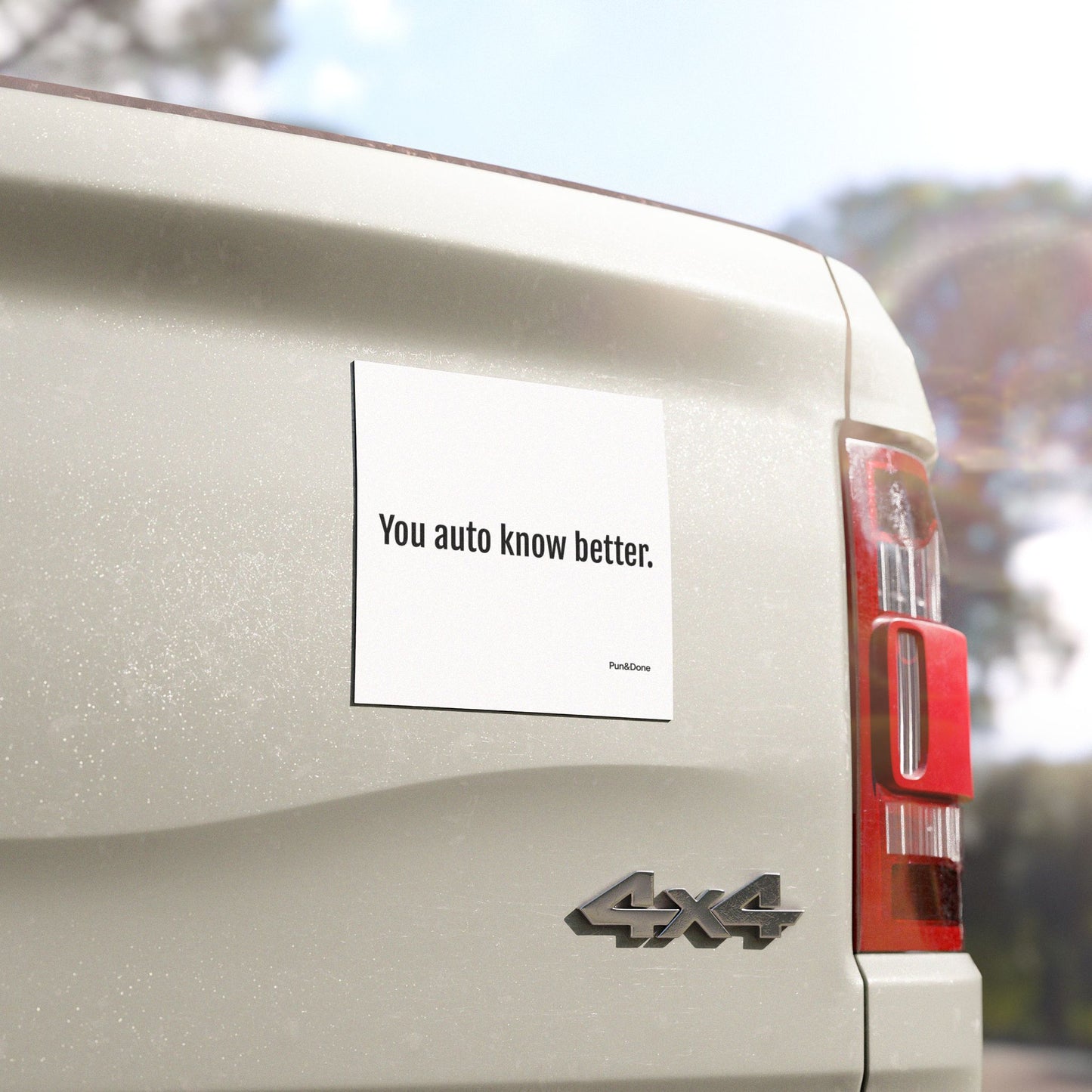 You Auto Know Better - Funny Pun Car Magnet