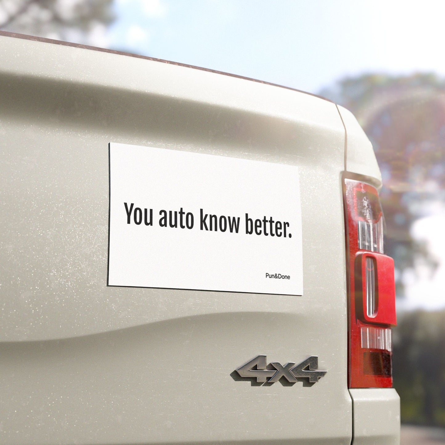 You Auto Know Better - Funny Pun Car Magnet